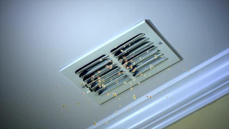 Best Air Duct Cleaning Near Me  in Lake Worth, TX